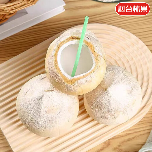 Jingdida Thailand imported milky coconut king net weight 3.7Jin Jin is equal to 0.5kg 4 single fruits 470-530g fresh coconut source straight hair