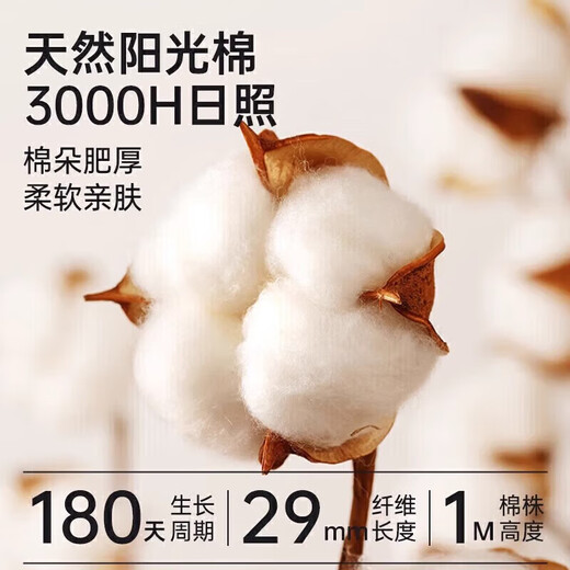 Yalu men's long johns men's pure cotton warm pants thin cotton woolen pants youth leggings underpants dark gray pure cotton 10A grade antibacterial 2XL recommended 120-150Jin Jin equals 0.5 kg