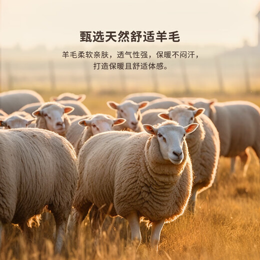 K-Boxing Men's Wear (K-Boxing) 100% Wool Autumn and Winter Short Wool Jacket NDWN3365 Black XL