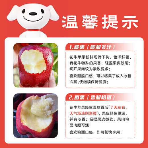 Jingxiansheng Tianshui Huaniu Apple, net weight 8Jin Jin is equal to 0.5kg, single piece 210g+, fresh fruit straight from the source