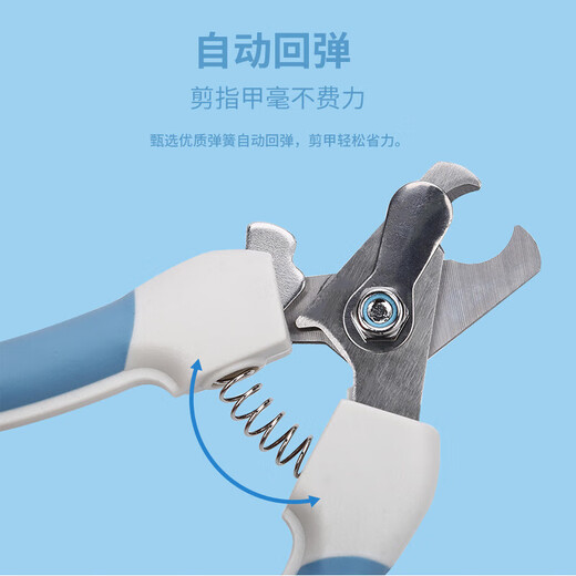 Pet Nail Clipper Set File Stainless Steel Cat and Dog Nail Clipper Cleaning and Beauty Supplies Blue Set-Large Factory Direct Sales