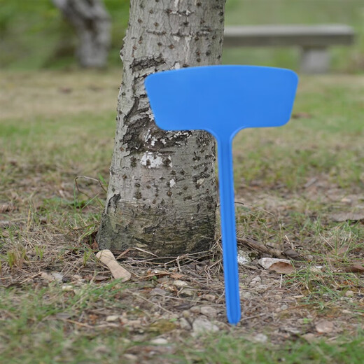 多种规格多种颜色塑料大号插地牌园艺标签园艺标识牌指示牌 大斜面50cm白色10个