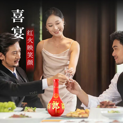 郎酒 红花郎10 白酒 酱酒 53度 500ml*6 整箱装（新老包装年份随机）