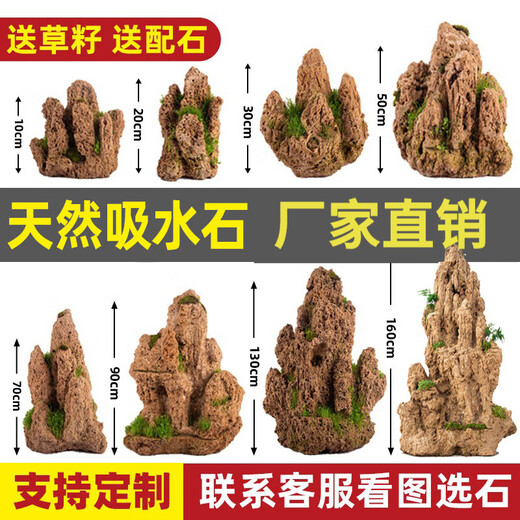 Absorbent stone natural stone bonsai fish tank courtyard large fish pond landscaping absorbent stone raw stone landscaping decoration height 10-14cm absorbent stone does not include pots and grass seeds included