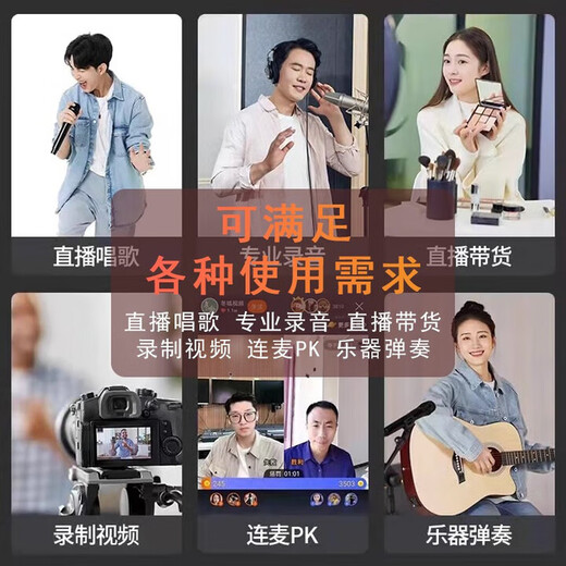 Audio-Technica AT2035 condenser microphone recording studio equipment set professional recording audio novel recording anchor live broadcast complete set of computer karaoke external sound card mobile phone microphone AT2035 silver with Alton ID4 second generation sound card set