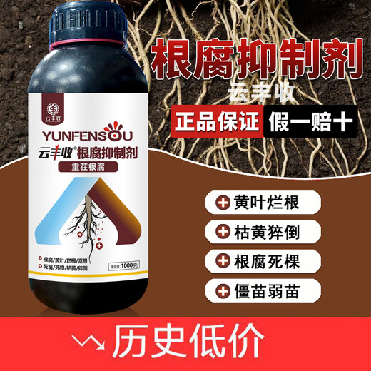 Yunfeng Harvest Genuine Root Rot Inhibitor, Root Rot Nemesis, Damping Down Dead Trees, Rotten Roots, Root Rot, Strong Roots, Purification of Soil, Popular 12 Bottles*1000g+1 Measuring Cup