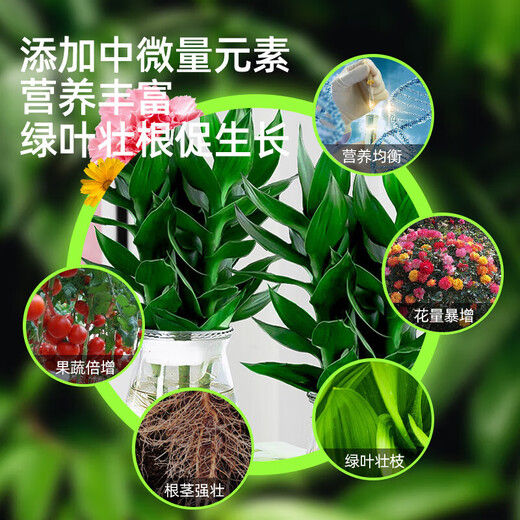 OUOETY Guanyin Bambus-Nährstofflösung Lucky Bamboo Hydroponic Plant Universal Rooted Water Root Spezialdünger Behandelt speziell gelbe Blätter Lucky Bamboo Special Nutrient Solution 2 Flaschen
