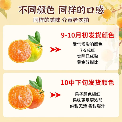 
Shengrong Fruits and Vegetables Ehime Jelly Orange No. 38 [Next-day delivery in many places] Sichuan hand-peeled oranges and citrus fresh fruit gift box [7A selected fruits] Fruit diameter 65-70mm sweet 3 Jin [Jin equals 0.5 kg] Packing [Try it first - small quantity] Net weight 2.5 Jin [Jin equals 0.5 kg]