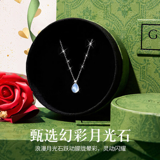 GUSKI French brand Rupert's Tears Necklace Feminine Clavicle Pendant Anniversary Birthday Premium Gift for Girlfriend Please take photo of engraving or greeting card