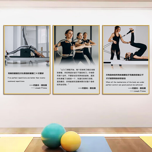 He Jiagong Pilates decorative painting Gym wall decoration hanging painting Bodybuilding studio body shaping Pilates promotion 15-How to practice Pilates 40 width x 60 height cm KT board + gold PVC edge same size