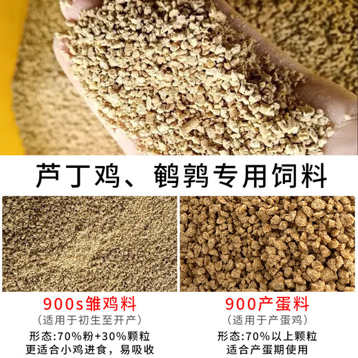 Zhengda Food 900s Rutin Chicken Special Feed for Egg Laying Chicks Brooding Open Young Ludin Chicken Chicks and Quail Egg Laying Food Zhengda 900 Egg Laying Rutin Chicken and Quail Feed 2Jin Jin is equal to 0.5 kg