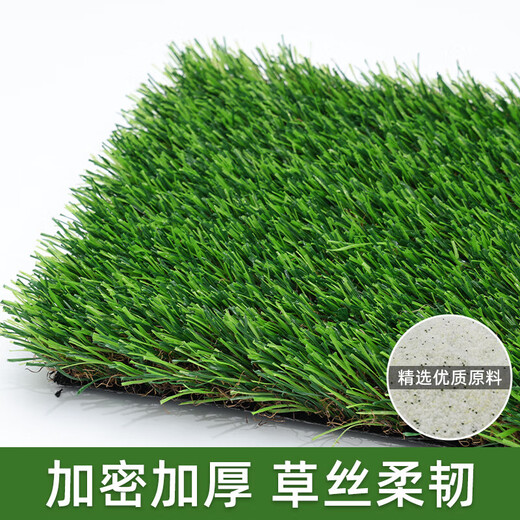 Simulated lawn pet toilet mat, fake turf balcony, artificial turf for dogs and cats to urinate and defecate, artificial carpet mat, 2cm spring grass encryption upgrade, wear-resistant model 1 square meter, high-efficiency peeing grass