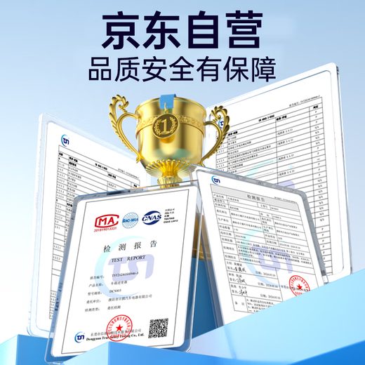 Wise Nation car inverter 12v24v to 220v high power multi-functional power supply cigarette lighter converter car truck plug