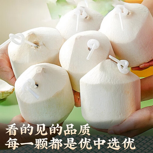 Hainan Fresh Pure Natural Peeled Coconut Green Coconut Ready-to-Eat Pregnant Women Fruit Coconut Chicken Soup Coconut Meat Coconut White - Wancheng Cost-Effective Green Coconut 2 Pack (Single Fruit Starting from 800g)