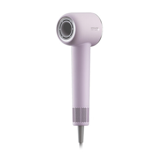 Chasing Time G20 Home Hair Dryer Constant Temperature Quick Drying Hair Dryer Negative Ion High Speed Hair Care Leafless Hair Dryer Gift Gift Lilac Purple AHD12B