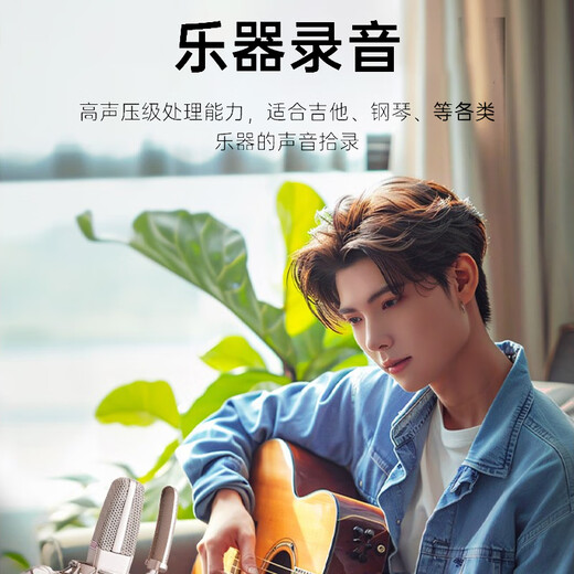 TAKSTAR SM-18 EL Microphone Karaoke Live Broadcast Equipment Professional Recording Singing Microphone Mobile Phone Computer Universal External Sound Card Set SM-18EL Official Standard Blowout Net + SF Express Silver