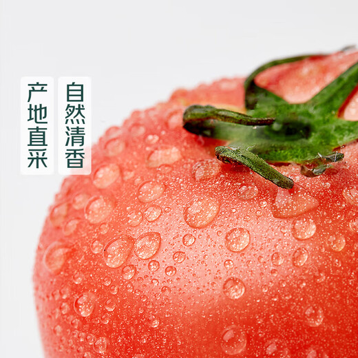 Provence tomatoes about 500g