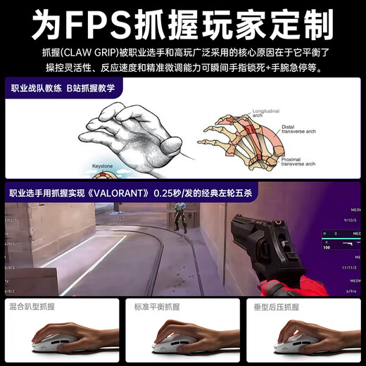 西伯利亚（XIBERIA）EX无线游戏鼠标轻量化 有线/2.4G双模连接 游戏电竞办公PAW3950传感器 长续航可充电人体工学设计 EX科技白【旗舰新品】-PAW3950传感器