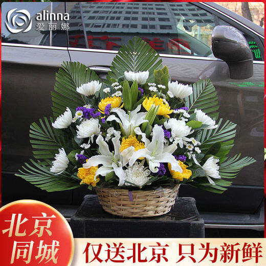 Worship bouquet Qingming Festival grave sweeping flowers chrysanthemum funeral memorial Qingming Festival small flower basket flowers express Beijing navy blue