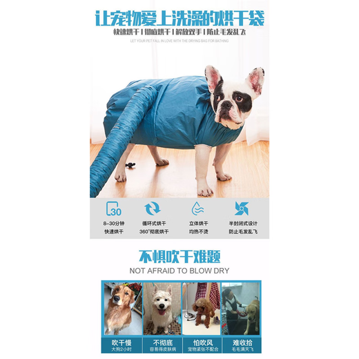 Pet drying box automatic drying bag Teddy Corgi cat hair dryer dog bath golden retriever silent hair blowing XL suitable for dogs weighing 40-60 Jin Jin equals 0.5 kg