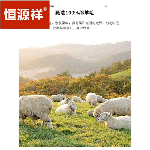 Hengyuanxiang (HYX) light luxury worsted 100% pure wool suit wool men's business formal wear high-end wedding suit gray 1006 M 170