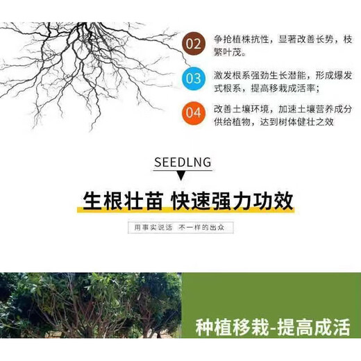 Phosphate fertilizer Calcium magnesium phosphate fertilizer Organic silicon flower vegetable and fruit tree regulation soil hardening anti-cracking fruit base fertilizer Universal fertilizer Pure calcium magnesium phosphorus 5Jin Jin equals 0.5 kg