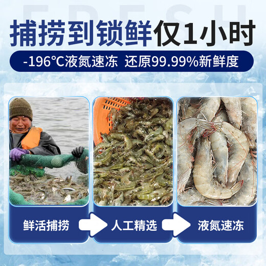 Yunchu Life Prawns Fresh Extra Large Sea-caught White Prawns Fresh Frozen Fresh Salted Frozen Prawns 3040 Net Weight 2.55Jin Jin is equal to 0.5kg
