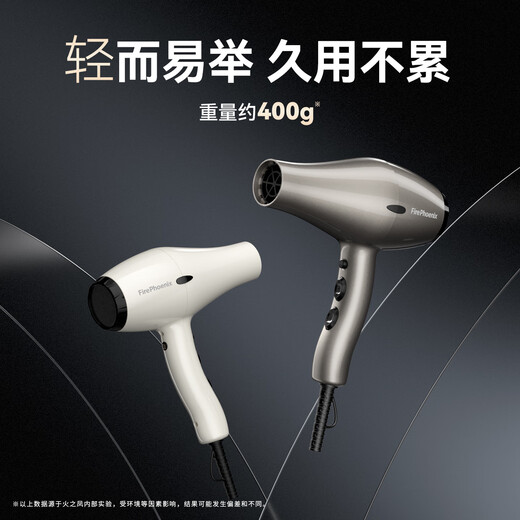 Fire Phoenix Hair Dryer 6600X Hair Salon Special High Power 2400W High Wind Low Noise Home Constant Temperature Hair Care Does Not Damage Hair Barber Shop Professional Hair Dryer Home Appliance 6601X Milan White Negative Ion 2m Cord Long (Four-speed Home Version)