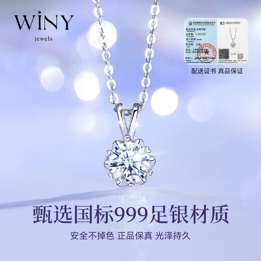 Nur (Winy) 999 Sterling Silber Halskette für Frauen 2025 Neues Ein-Karat-Mossan Diamond Anhänger Geburtstagsgeschenk für Freunde und Frau Schmuck