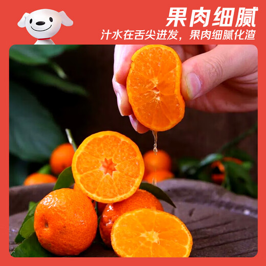 Jingdida Guangxi Tangtang Orange, net weight 4.5Jin Jin is equal to 0.5kg, single fruit 40mm+, straight from the fresh source