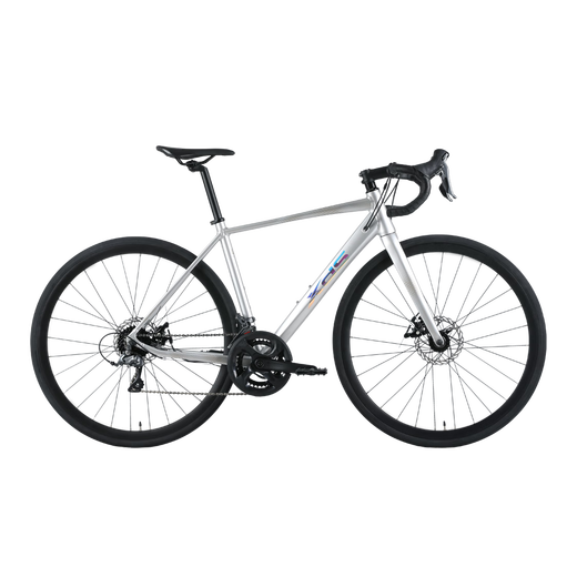 Xds road bike 2025 RC300 disc brake cable routing frame 16-speed silver gray 480MM