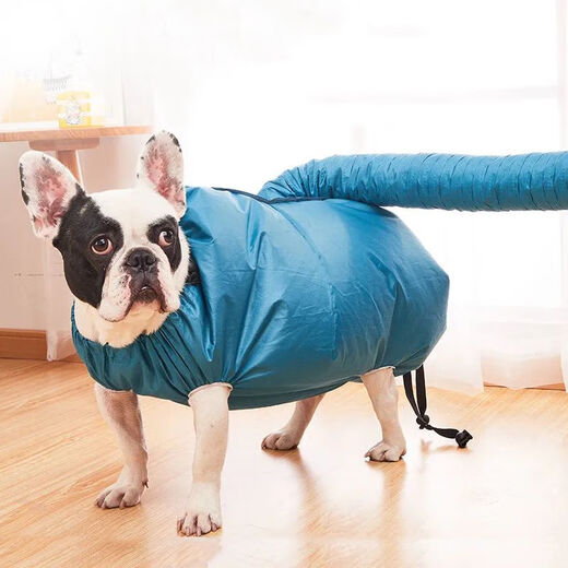 Pet drying box automatic drying bag Teddy Corgi cat hair dryer dog bath golden retriever silent hair blowing XL suitable for dogs weighing 40-60 Jin Jin equals 0.5 kg