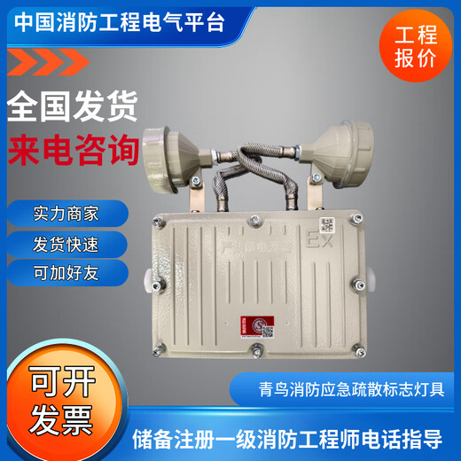 Beida Jade Bird explosion-proof emergency light evacuation sign lamp J-ZFJC-E3W-16B3-Ex double-headed emergency light J-D-0.25KVA-06-Ex explosion-proof emergency power supply