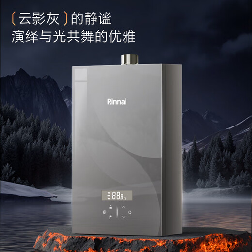 Rinnai Master Series 20L Large Liter Gas Water Heater Full Water Servo Constant Temperature Large Water Volume Water Heater 0.5 Temperature Adjustment 20GD73 (JSQ40-GD73)