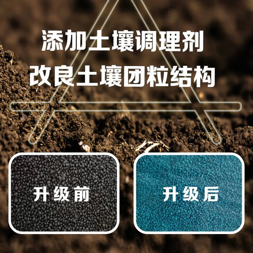 大丰收丰创严选丰质龙17-17-17含黄腐酸硫酸钾型复合肥果树槟榔底肥缓释肥 40kg 40kg