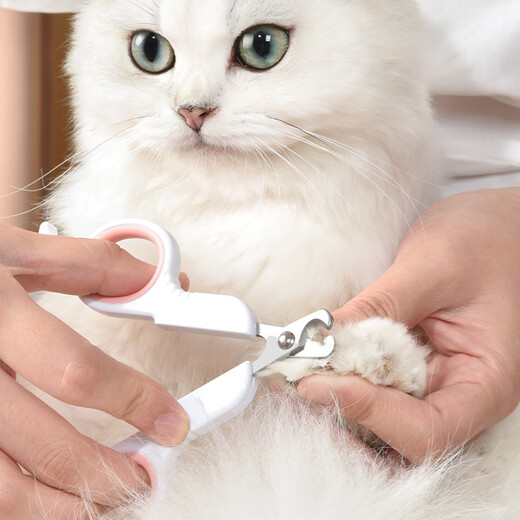 Paike is a cat nail clipper for cats. Special nail clipper for kittens. Novice nail clipper. Elbow pet supplies. Gentleman's elegant gray-straight style.
