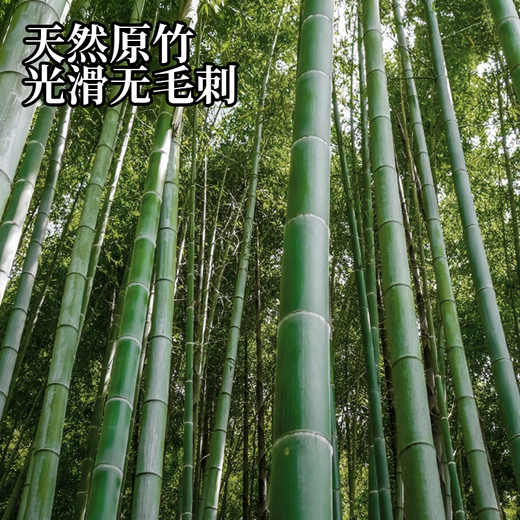 Xingfang Natural Bamboo Chopsticks Home Healthy High-grade Anti-mold Anti-slip Every Year Fish 7.5mm Bamboo Chopsticks 10 Pairs