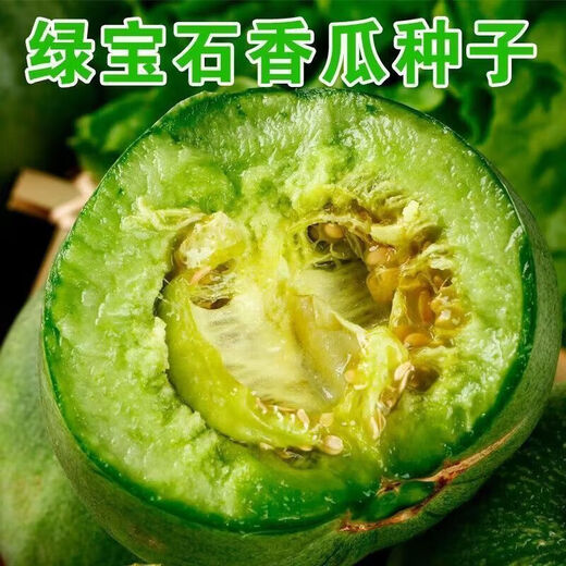 Emerald melon seeds, thin-skinned, super-sweet cantaloupe seeds, spring green-skinned, crispy melons for all seasons, early-maturing, high-yielding cantaloupe seeds, emerald melon seeds/pack, about 100 seeds, 1 pack
