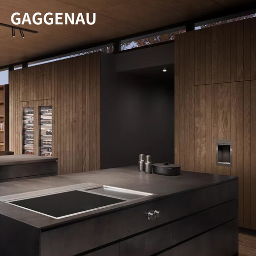 GAGGENAU 400 series refrigerator and wine cabinet RC472/RC462/RF471/RF461/RW466 RA428912 stainless steel door panel (RY492305 suitable for 10W
