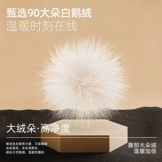 YOUNGOR Daunenjacke Herren Daunenjacke mit Kapuze, Polyestergewebe, Gänsedaunenfüllung, warm und bequem, Marineblau, L 175/96A