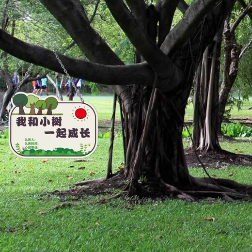 Arbor Day Listing Tree Planting Sign Tree Adoption Sign Kindergarten Sapling Adoption Sign Tree Signage DIY Customized 11 Tree Sign PVC Board with Hanging Chain 16x10cm