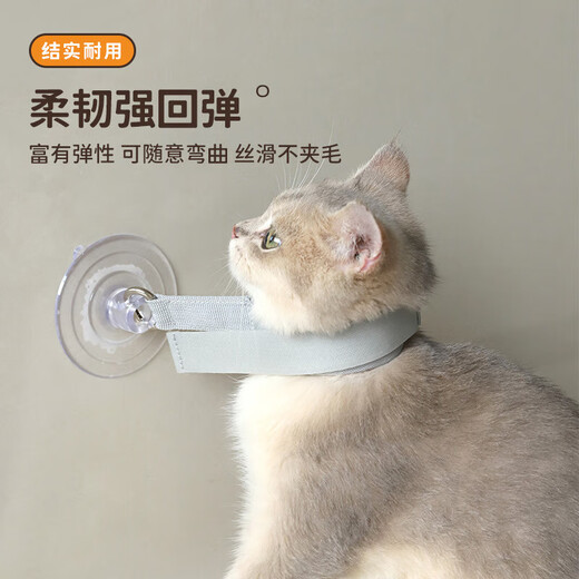 Cat and dog bath holder, anti-scratch, bite and struggle, bath nail clipper, pet supplies collection, pet bath holder - blue - 1 piece