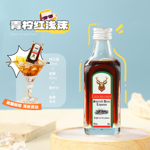 路易布兰登（LOUIS BRANDON）洋酒威士忌伏特加朗姆金酒基酒50ml6支便利店中秋调酒套装小酒版