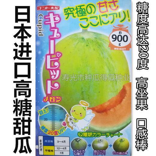 Japanese imported reticulated melon seeds, sweet watermelon horn honey seeds, fruit spring vegetable seeds, white skin and green flesh melon 100 original pieces