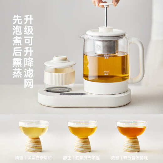 Olayks instant mini health pot teapot tea maker office heating thermostat coaster small kettle steam spray 0.8L OLK-TK01