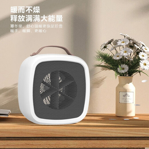 Ultraviolet disinfection lamp shoe dryer for shoes, wet and dry shoe dryer, deodorizing household dryer, student drying shoes, square direct blowing white (220V)