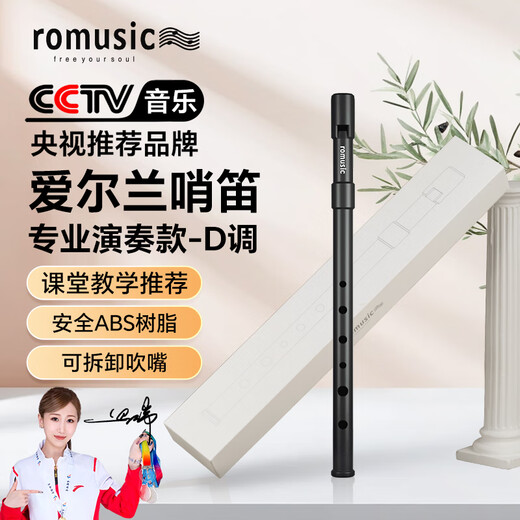 Romusic Irish whistle D-key ABS resin tin flute six-hole recorder beginner student teaching professional playing recorder flute