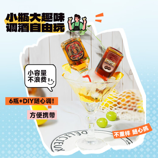 路易布兰登（LOUIS BRANDON）洋酒威士忌伏特加朗姆金酒基酒50ml6支便利店中秋调酒套装小酒版