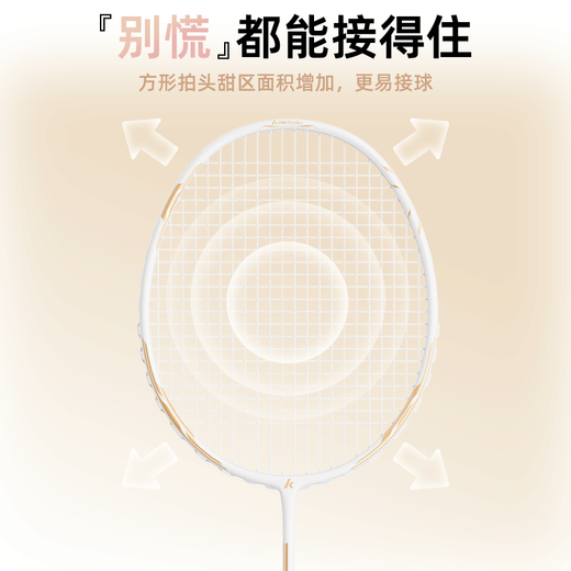 KAWASAKI川崎羽毛球拍对拍套装学生训练入门耐打双拍CA-095黑白金(已穿线)