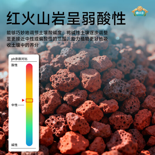 Devodo red volcanic rock 5kg (1-2cm) succulent granular soil paving stone mixed with soil to improve soil gardening soilless cultivation